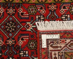 Asadabad orientalisk matta 77 x 323 cm
