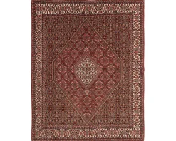 Bidjar Zandjan orientalisk matta 246 x 305 cm