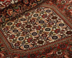 Bidjar Zandjan orientalisk matta 246 x 305 cm