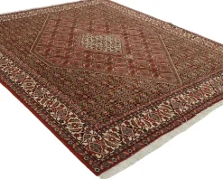 Bidjar Zandjan orientalisk matta 246 x 305 cm