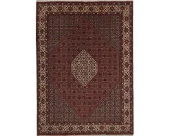 Bidjar Zandjan orientalisk matta 248 x 350 cm