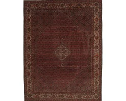 Bidjar Zandjan orientalisk matta 248 x 350 cm
