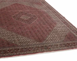 Bidjar Zandjan orientalisk matta 297 x 396 cm