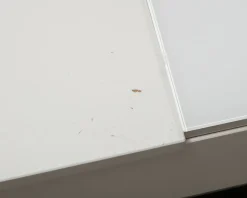 BoConcept Chiva soffbord vit
