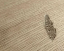 Hübsch Acorn matbord ek