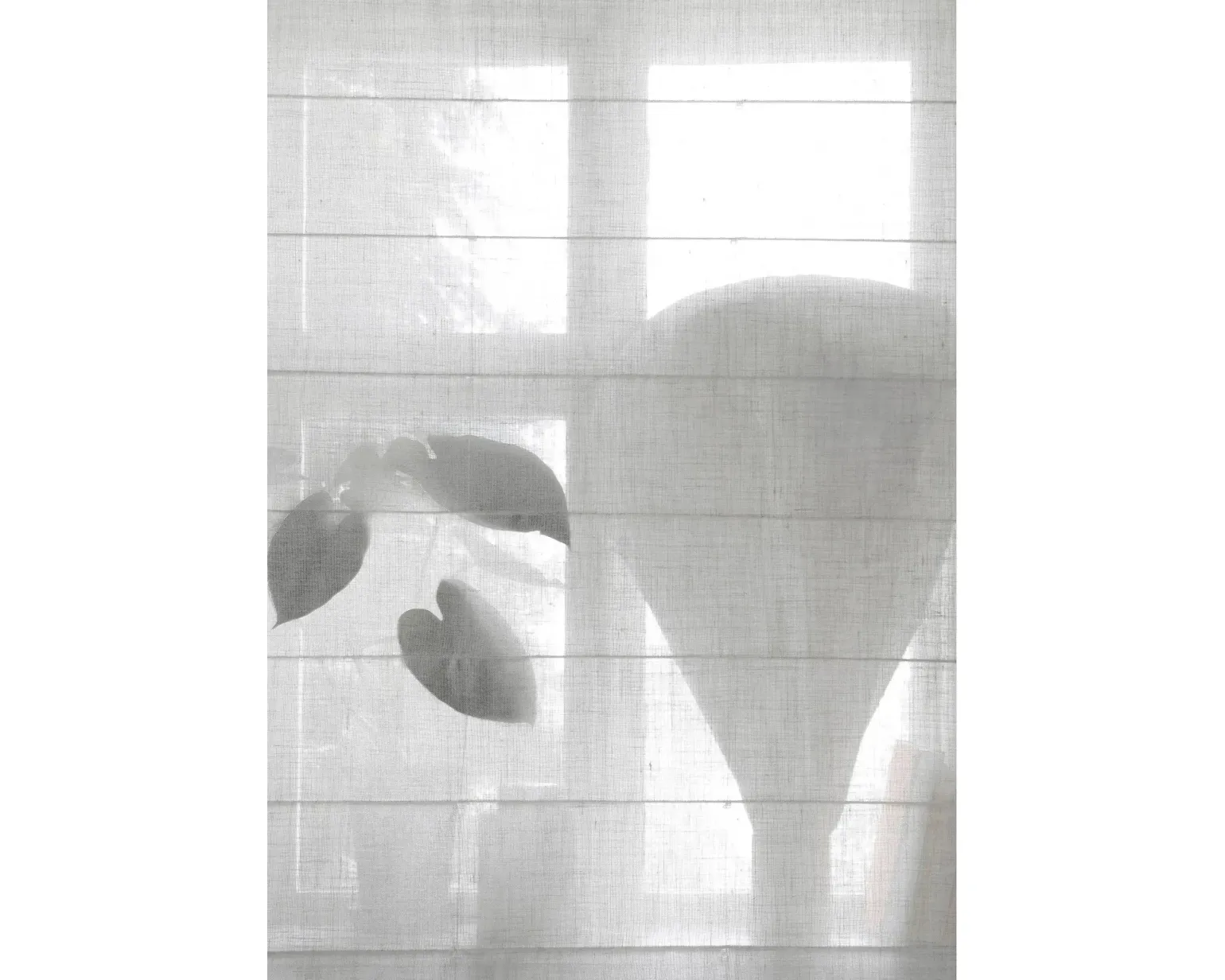 Mimou Ellie halvlinne hissgardin 90 x 220 cm