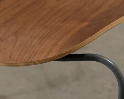 MYCS Chayr stol valnöt
