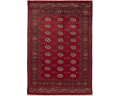 Pakistan handknotted orientalisk matta 164 x 238 cm