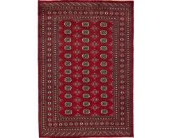 Pakistan handknotted orientalisk matta 171 x 247 cm