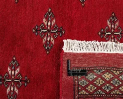Pakistan handknotted orientalisk matta 249 x 351 cm