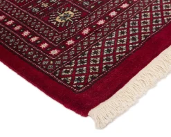 Pakistan handknotted orientalisk matta 250 x 316 cm
