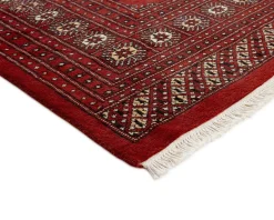Pakistan handknotted orientalisk matta 309 x 425 cm