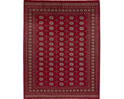Pakistan handknotted orientalisk matta 244 x 313 cm