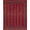 Pakistan handknotted orientalisk matta 245 x 310 cm