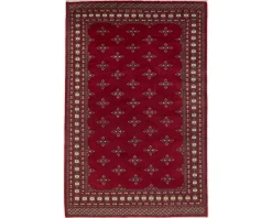 Pakistan handknotted orientalisk matta 170 x 254 cm