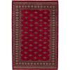 Pakistan handknotted orientalisk matta 169 x 251 cm