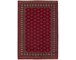 Pakistan handknotted orientalisk matta 169 x 250 cm