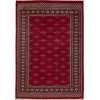 Pakistan handknotted orientalisk matta 167 x 244 cm