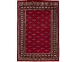 Pakistan handknotted orientalisk matta 167 x 244 cm