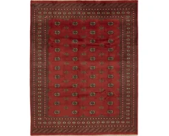 Pakistan handknotted orientalisk matta 245 x 305 cm