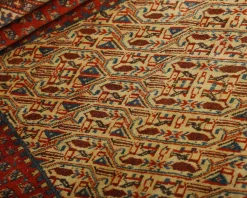Rezas orientalisk x Mir Boteh matta 281 x 414 cm