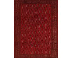 Rezas orientalisk x Torkaman matta 256 x 339 cm