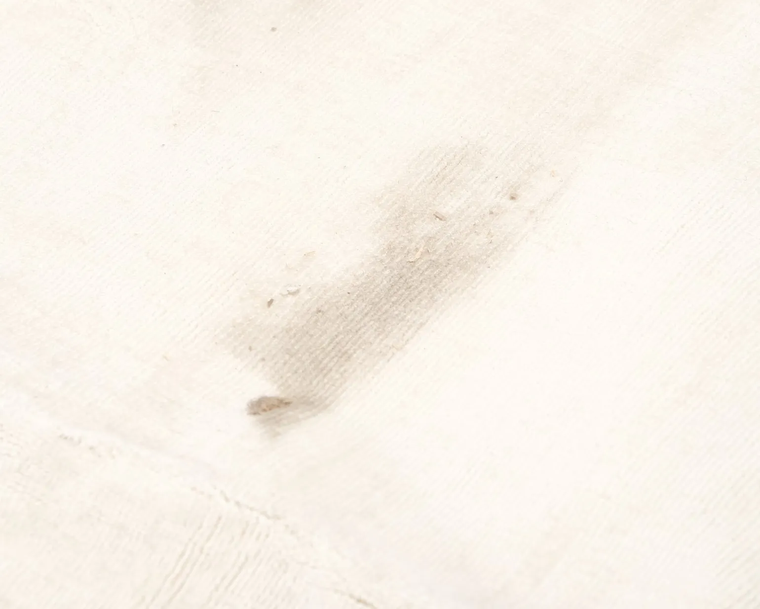 Rugvista Premium Tribeca viscosmatta 240 x 340 cm naturvit