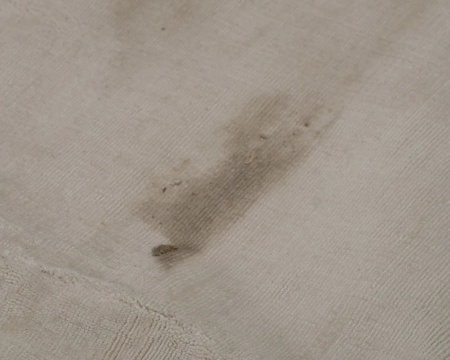 Rugvista Premium Tribeca viscosmatta 240 x 340 cm naturvit