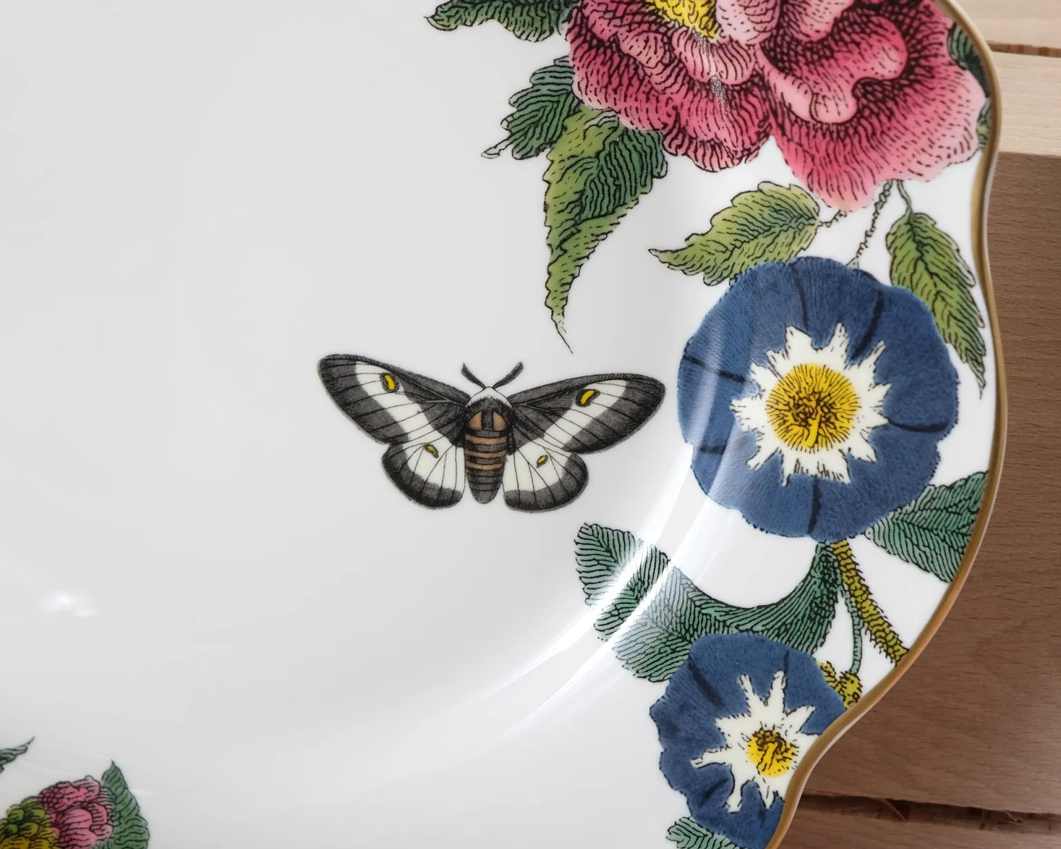 Spode Creatures Of Curiosity tallriksset, 12 delar